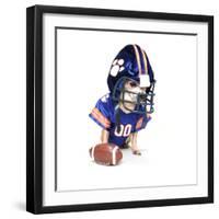 A Tiny Chihuahua in a Football Uniform-graphicphoto-Framed Photographic Print