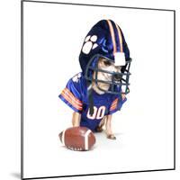 A Tiny Chihuahua in a Football Uniform-graphicphoto-Mounted Photographic Print