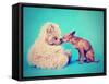 A Tiny Chihuahua Kissing a Teddy Bear-graphicphoto-Framed Stretched Canvas