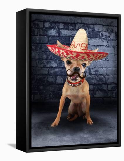 A Tiny Chihuahua With A Sombrero Hat On-graphicphoto-Framed Stretched Canvas