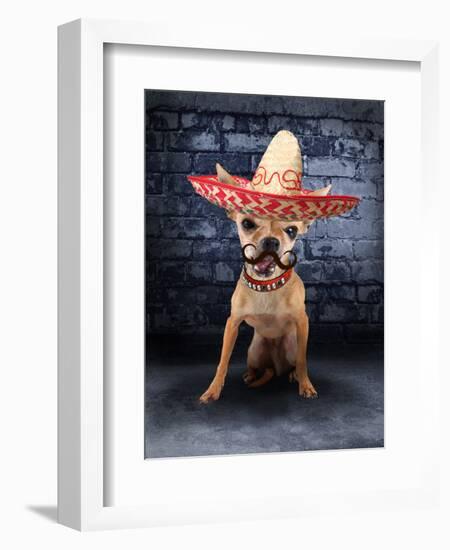 A Tiny Chihuahua With A Sombrero Hat On-graphicphoto-Framed Photographic Print