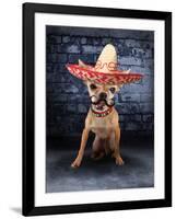 A Tiny Chihuahua With A Sombrero Hat On-graphicphoto-Framed Photographic Print