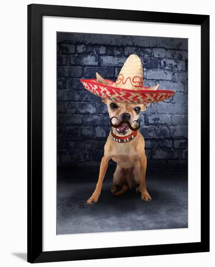 A Tiny Chihuahua With A Sombrero Hat On-graphicphoto-Framed Photographic Print