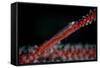 A Tiny Ghost Goby Lays on a Gorgonian-Stocktrek Images-Framed Stretched Canvas