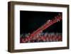 A Tiny Ghost Goby Lays on a Gorgonian-Stocktrek Images-Framed Photographic Print