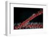 A Tiny Ghost Goby Lays on a Gorgonian-Stocktrek Images-Framed Photographic Print