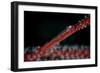 A Tiny Ghost Goby Lays on a Gorgonian-Stocktrek Images-Framed Photographic Print