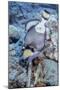 A Titan Triggerfish Faces Off with a Small Wrasse, Papua New Guinea-Stocktrek Images-Mounted Photographic Print