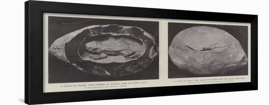 A Toad in Flint-null-Framed Giclee Print