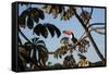 A Toco Toucan Feeds in a Tree Near Iguazu Falls at Sunset-Alex Saberi-Framed Stretched Canvas