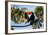 A Toco Toucan in a Tree Near Iguazu Falls at Sunset-Alex Saberi-Framed Photographic Print