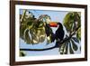 A Toco Toucan in a Tree Near Iguazu Falls at Sunset-Alex Saberi-Framed Photographic Print