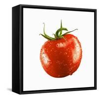 A Tomato with Drops of Water-Michael Löffler-Framed Stretched Canvas