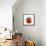 A Tomato with Drops of Water-Michael Löffler-Framed Stretched Canvas displayed on a wall