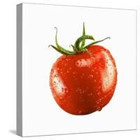 A Tomato with Drops of Water-Michael Löffler-Stretched Canvas