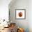 A Tomato with Drops of Water-Michael Löffler-Framed Photographic Print displayed on a wall