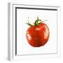 A Tomato with Drops of Water-Michael Löffler-Framed Photographic Print