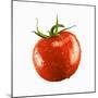 A Tomato with Drops of Water-Michael Löffler-Mounted Photographic Print