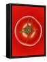 A Tomato-null-Framed Stretched Canvas