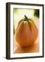 A Tomato-Foodcollection-Framed Photographic Print