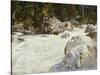 A Torrent in Norway, 1901-John Singer Sargent-Stretched Canvas