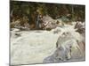 A Torrent in Norway, 1901-John Singer Sargent-Mounted Giclee Print