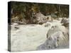 A Torrent in Norway, 1901-John Singer Sargent-Stretched Canvas