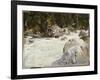 A Torrent in Norway, 1901-John Singer Sargent-Framed Giclee Print