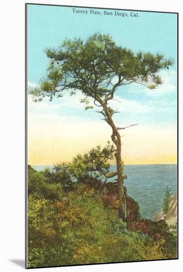 A Torrey Pine, San Diego, California-null-Mounted Art Print