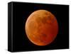 A Total Lunar Eclipse-null-Framed Stretched Canvas