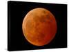 A Total Lunar Eclipse-null-Stretched Canvas