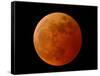 A Total Lunar Eclipse-null-Framed Stretched Canvas