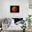 A Total Lunar Eclipse-null-Stretched Canvas displayed on a wall