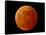 A Total Lunar Eclipse-null-Framed Stretched Canvas