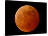 A Total Lunar Eclipse-null-Stretched Canvas