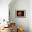 A Total Lunar Eclipse-null-Framed Premium Photographic Print displayed on a wall