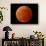 A Total Lunar Eclipse-null-Premium Photographic Print displayed on a wall