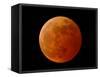 A Total Lunar Eclipse-null-Framed Stretched Canvas