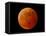 A Total Lunar Eclipse-null-Framed Stretched Canvas