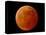 A Total Lunar Eclipse-null-Stretched Canvas