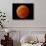 A Total Lunar Eclipse-null-Photographic Print displayed on a wall