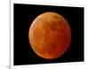 A Total Lunar Eclipse-null-Framed Photographic Print