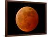 A Total Lunar Eclipse-null-Framed Photographic Print