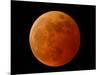 A Total Lunar Eclipse-null-Mounted Photographic Print