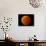 A Total Lunar Eclipse-null-Photographic Print displayed on a wall