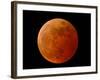 A Total Lunar Eclipse-null-Framed Photographic Print