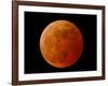 A Total Lunar Eclipse-null-Framed Photographic Print