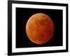 A Total Lunar Eclipse-null-Framed Photographic Print