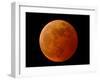 A Total Lunar Eclipse-null-Framed Photographic Print