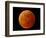 A Total Lunar Eclipse-null-Framed Photographic Print